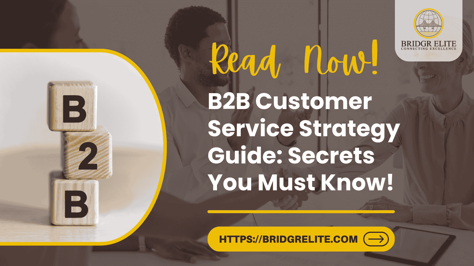 B2B Customer Service Strategy Guide: Secrets You Must Know!